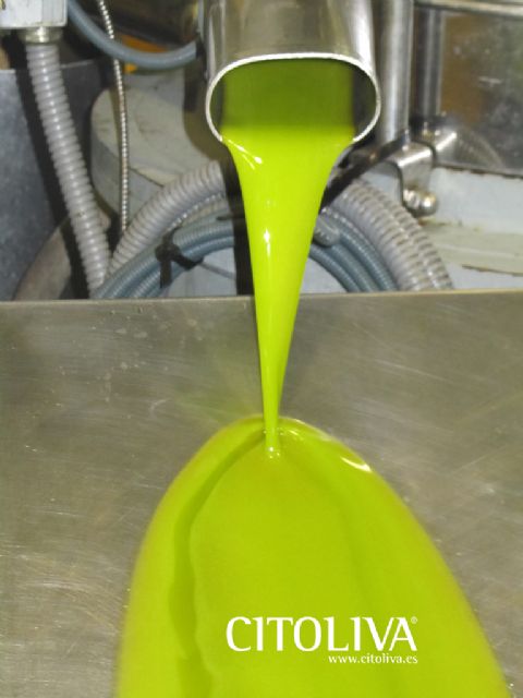 CITOLIVA enseña a las cooperativas sin experiencia cómo elaborar aceites de alta gama - 1, Foto 1