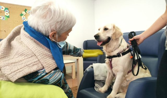 Esidencia libre de sujeciones - 3, Foto 3