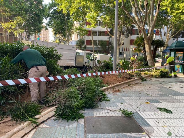 Vía pública acondiciona parterres en el Paseo Alfonso XIII - 1, Foto 1