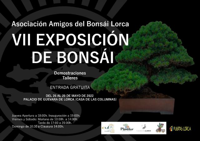 El Palacio de Guevara de Lorca acogerá del 26 al 29 de mayo la 'VII Exposición de Bonsái' - 2, Foto 2