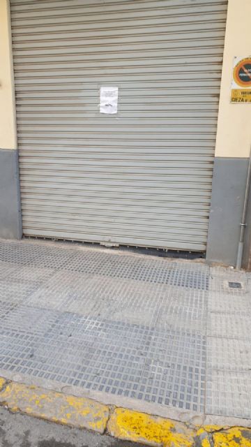 VOX pide en Pleno que el Ayuntamiento de Cieza se responsabilice del pintado y reposición de los vados - 1, Foto 1