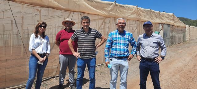 Águilas acoge un proyecto piloto para la descontaminación del suelo agrícola mediante la ozonización - 1, Foto 1