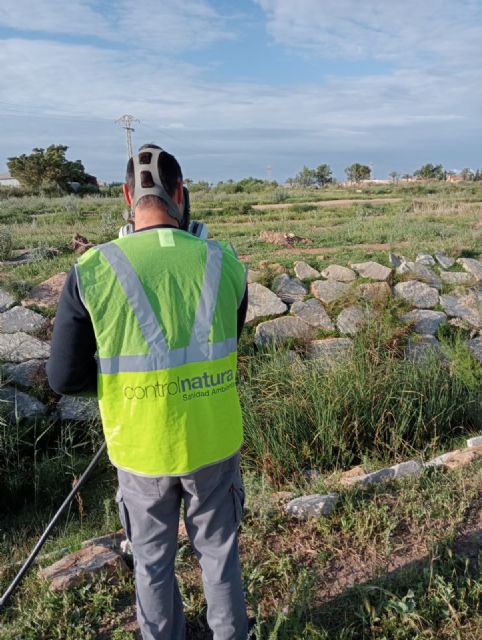 Refuerzo de tratamientos contra los mosquitos - 3, Foto 3