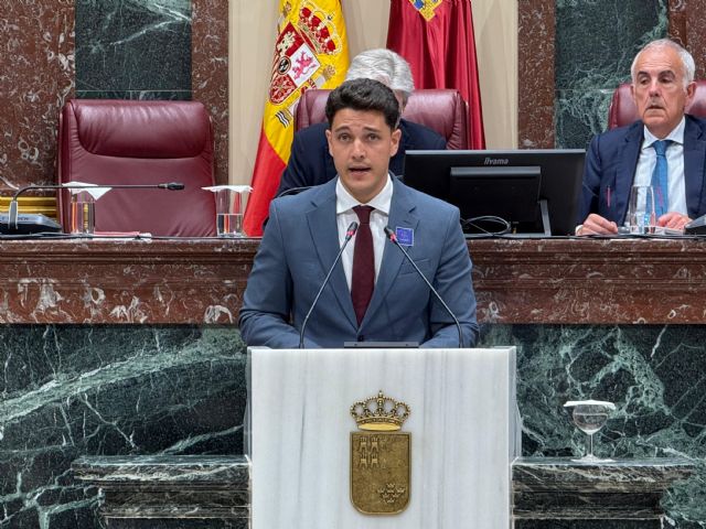 El PSOE consigue aprobar una moción para incluir las distrofias musculares de Duchnne y Becker en el listado de enfermedades contemplado en la Ley ELA - 1, Foto 1
