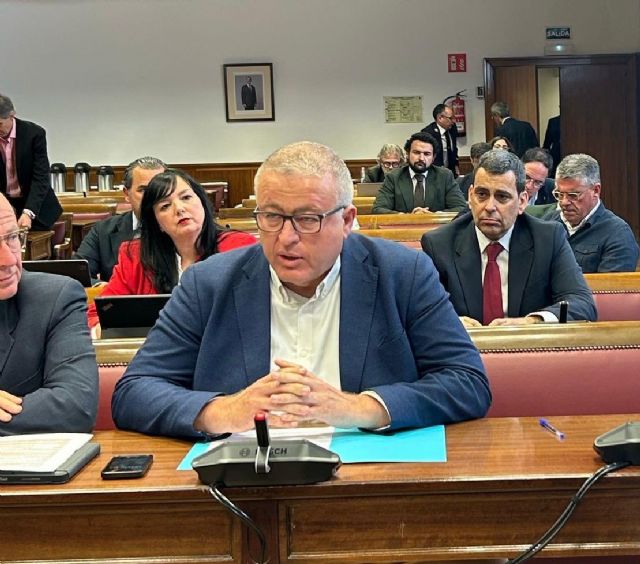 El PP acusa a Morán en el Senado de mentir y de romper por las bravas los compromisos legales y morales con Portmán y le exige la retirada de los estériles - 1, Foto 1