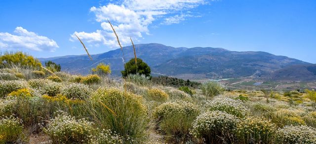 Más te vale, chaval - 1, Foto 1