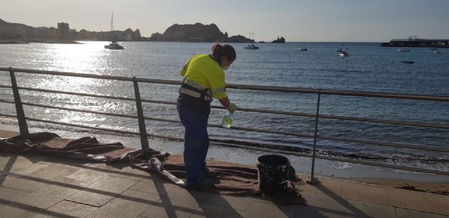 Esta semana han dado comienzo los trabajos de mantenimiento de la balaustrada del Paseo de Parra y Las Delicias - 1, Foto 1