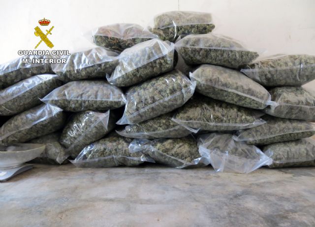 La Guardia Civil desmantela en Pliego una instalación dedicada al cultivo intensivo de marihuana - 1, Foto 1