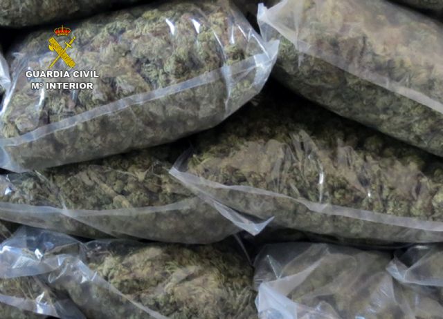 La Guardia Civil desmantela en Pliego una instalación dedicada al cultivo intensivo de marihuana - 2, Foto 2