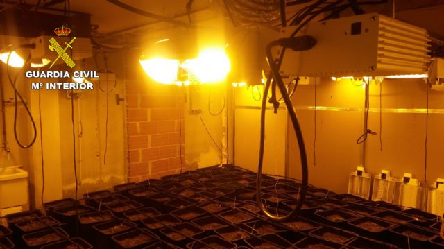 La Guardia Civil desmantela en Pliego una instalación dedicada al cultivo intensivo de marihuana - 3, Foto 3