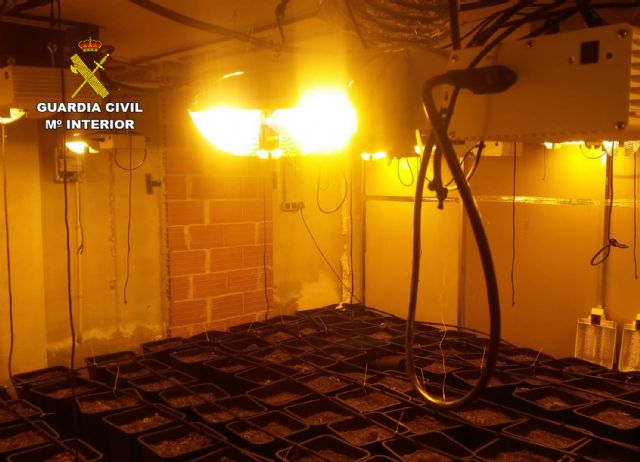 La Guardia Civil desmantela en Pliego una instalación dedicada al cultivo intensivo de marihuana - 4, Foto 4