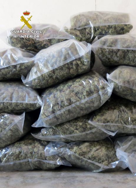 La Guardia Civil desmantela en Pliego una instalación dedicada al cultivo intensivo de marihuana - 5, Foto 5