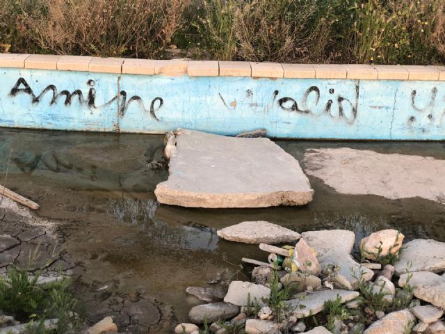 El nulo mantenimiento indigna a los vecinos de todo el municipio, denuncia el PP - 4, Foto 4