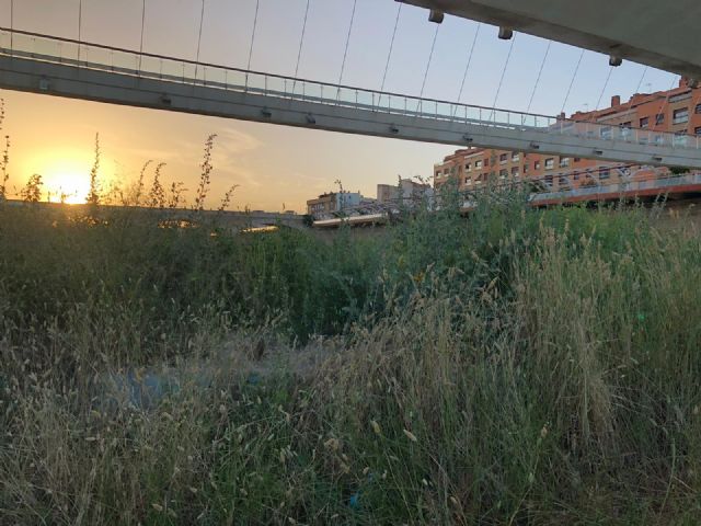 El nulo mantenimiento indigna a los vecinos de todo el municipio, denuncia el PP - 5, Foto 5