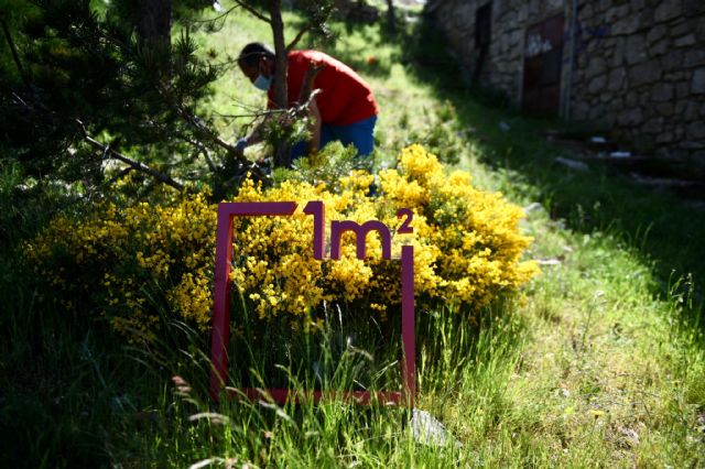 '1m2 contra la basuraleza' libera de residuos cerca de 1.100 espacios naturales de toda España - 3, Foto 3