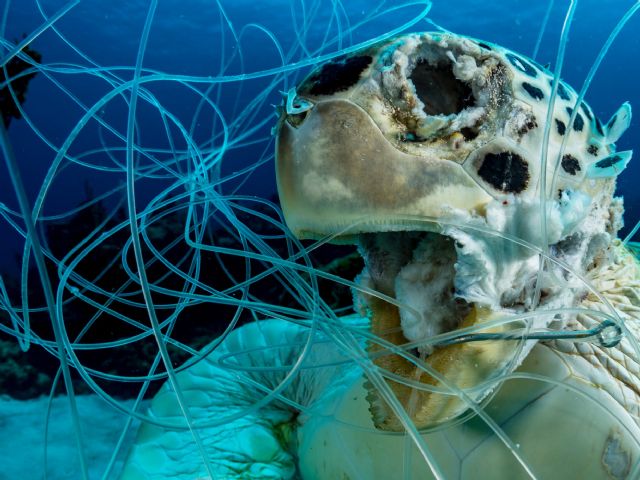 Redes fantasmas, la muerte invisible de los océanos - 1, Foto 1