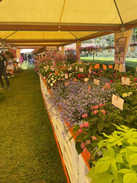 El Ayuntamiento de Lorca presente en Viridalia, el encuentro profesional del sector ornamental celebrado en Barcelona del 8 al 10 de junio - 2, Foto 2