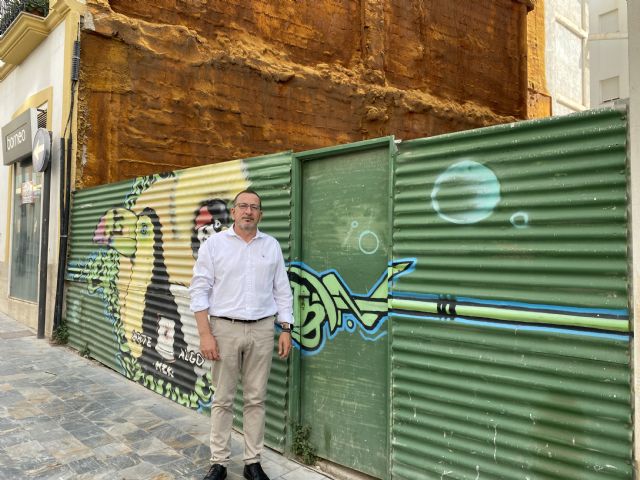 El PSOE propone acondicionar solares abandonados en calle Álamo para reubicar contenedores y aseos portátiles - 2, Foto 2