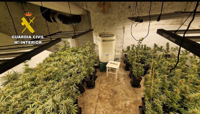 Desmantelan en Abanilla un grupo delictivo que cultivaba gran cantidad de marihuana - 2, Foto 2