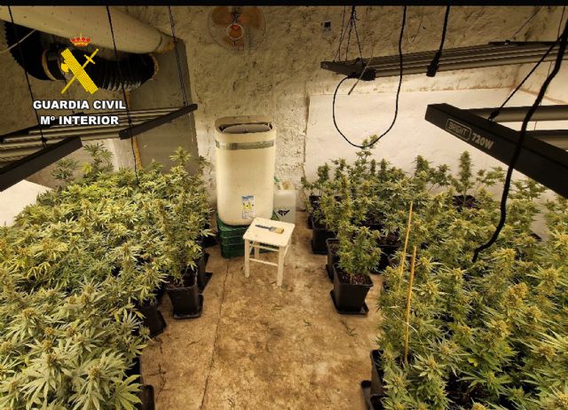 Desmantelan en Abanilla un grupo delictivo que cultivaba gran cantidad de marihuana - 3, Foto 3