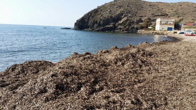 El PSOE denuncia el abandono de la playa de Puntas de Calnegre y reclama el impulso a la costa lorquina - 1, Foto 1