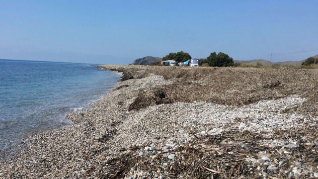 El PSOE denuncia el abandono de la playa de Puntas de Calnegre y reclama el impulso a la costa lorquina - 2, Foto 2