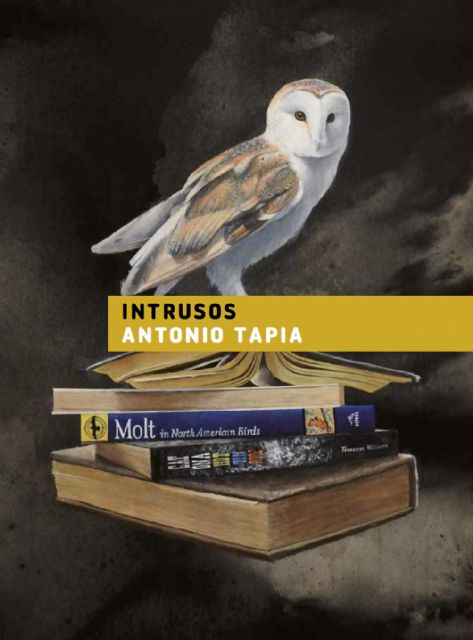 Los ´Intrusos´ de Antonio Tapia llegan a Albudeite de la mano del Plan de Espacios Expositivos - 1, Foto 1