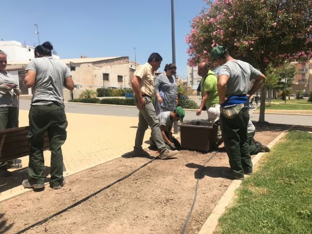 El Ayuntamiento mejora la jardinería del Parque de San José con la colocación de 19 maceteros con nuevas plantas, la mejora del sistema de riego y la poda de arbustos - 1, Foto 1