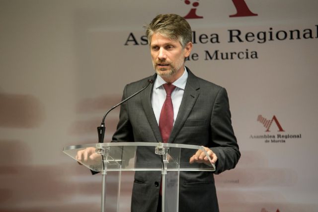 El PP consigue el apoyo de la Asamblea para que las familias numerosas tengan más beneficios según crezca el número de hijos - 1, Foto 1