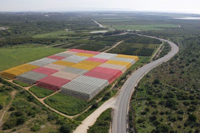 Ensayan con mallas fotoselectivas de sombreo para mejorar los frutos y evitar plagas en el Campo de Cartagena - 1, Foto 1
