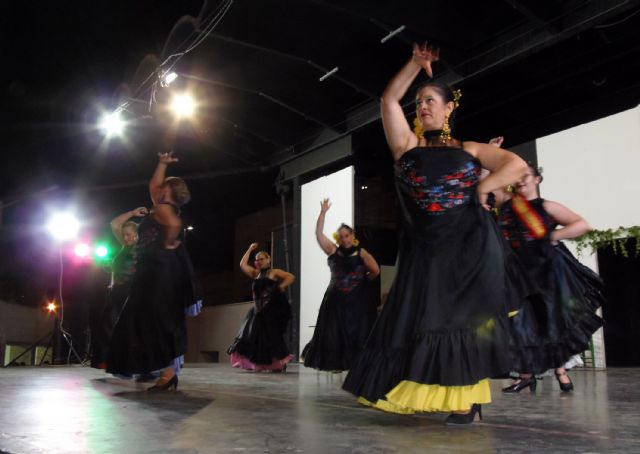 Cinco espectaculares veladas dieron brillo a la 27ª Semana Cultural del Rincón Pulpitero - 2, Foto 2