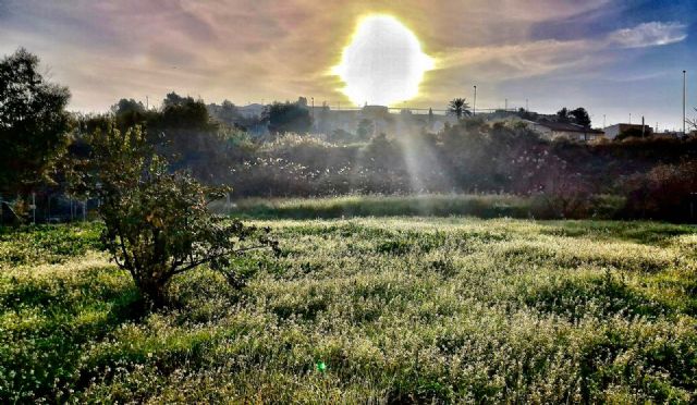 Lorquí participa en un proyecto europeo de adaptación al cambio climático para la rehabilitación de los cabezos del municipio - 1, Foto 1