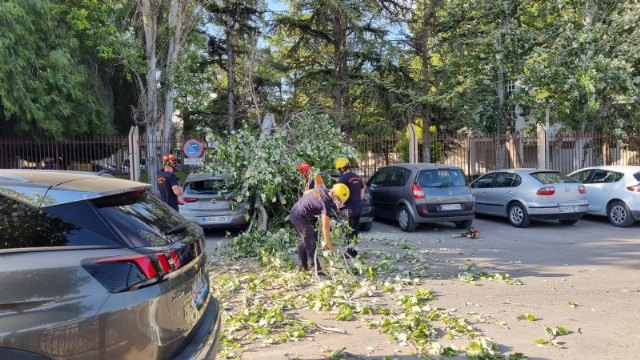 Se cierra y desaloja el parque municipal “Marcos Ortiz” por la caída de un árbol a consecuencia de los efectos del viento, que ha dañado dos vehículos, Foto 2