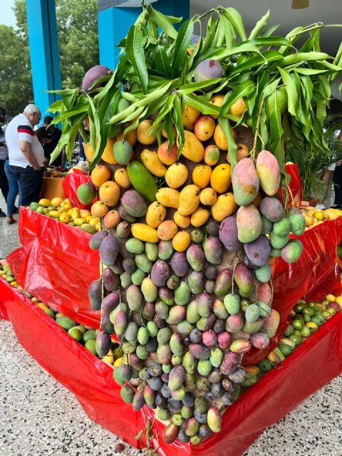 La multitudinaria feria Expo Mango ratifica la identidad autóctona del mango dominicano - 2, Foto 2