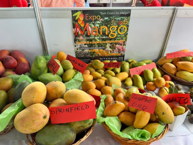 La multitudinaria feria Expo Mango ratifica la identidad autóctona del mango dominicano - 3, Foto 3