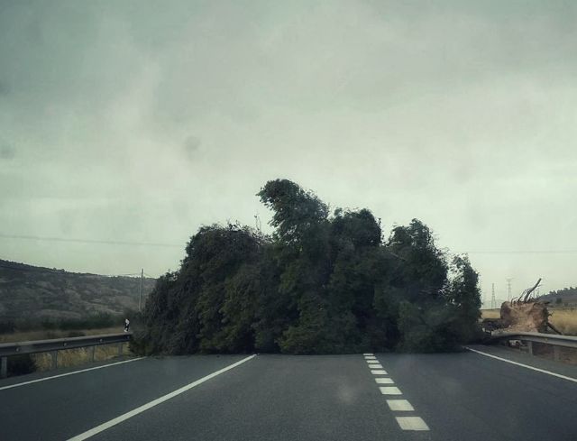 CaixaBank habilita una línea de financiación de 5 millones de euros para los afectados por las adversidades climatológicas en Yecla y Jumilla - 1, Foto 1
