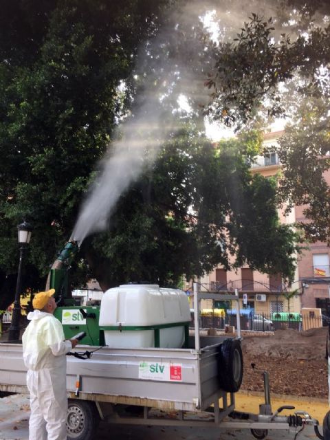El Ayuntamiento refresca la decena de ficus del jardín de Floridablanca - 2, Foto 2