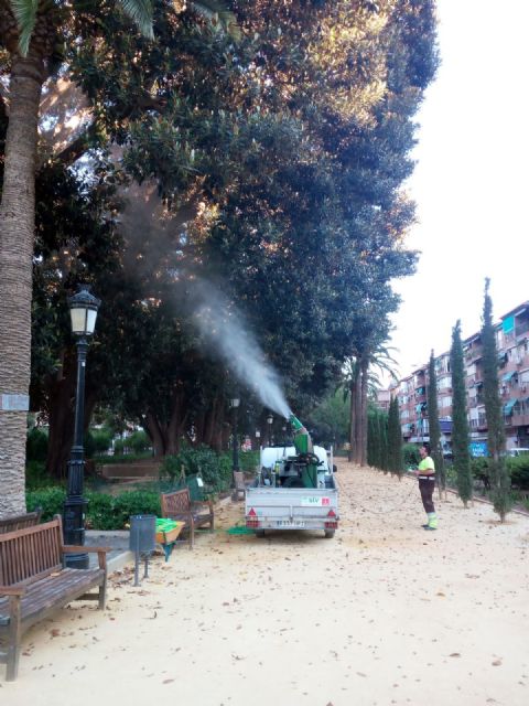 El Ayuntamiento refresca la decena de ficus del jardín de Floridablanca - 3, Foto 3
