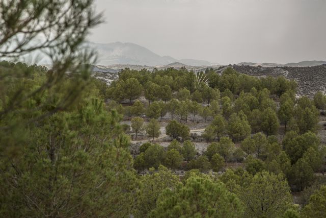 La Asociación para el Desarrollo Rural CAMPODER subvencionará tres proyectos en Puerto Lumbreras en los que se invertirán más de 100.000 euros - 1, Foto 1