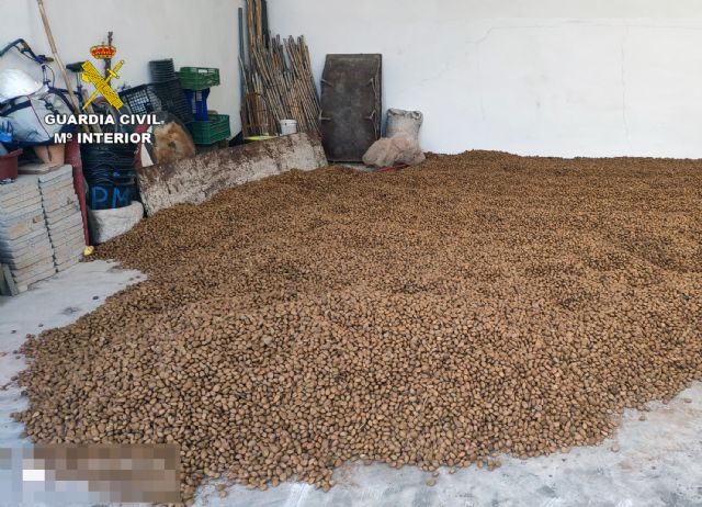 La Guardia Civil recupera más de cinco toneladas de almendra sustraídas de una finca agrícola de Abanilla - 3, Foto 3