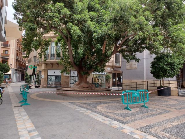 Todos los servicios municipales implicados, en alerta ante la previsión de aumento de temperaturas - 1, Foto 1