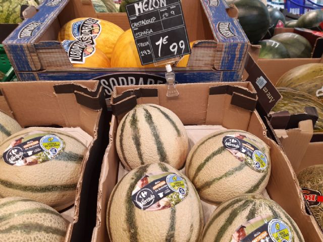 Carrefour apuesta por los melones murcianos para su surtido de marcas propias - 2, Foto 2