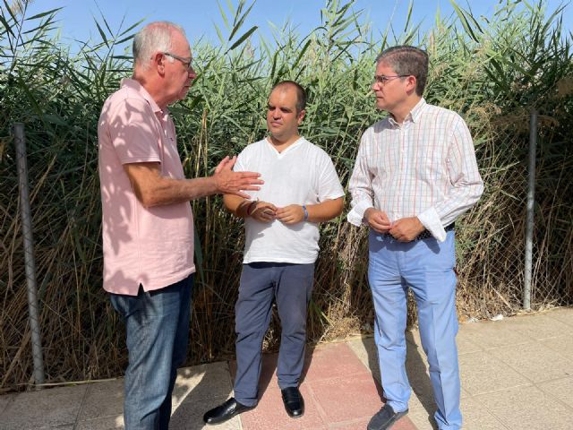 El PP pide que el Ayuntamiento coordine con las juntas municipales la limpieza de los solares - 1, Foto 1