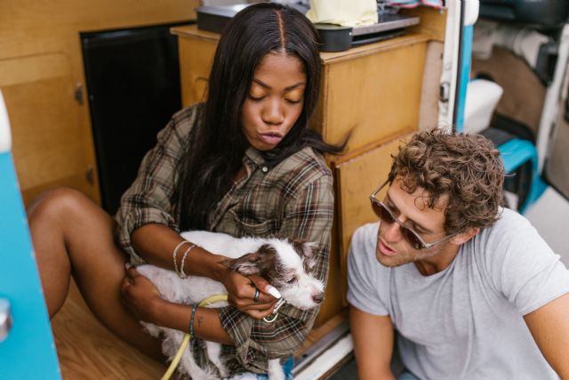 8 consejos para un viaje perfecto en autocaravana con tu perro - 2, Foto 2