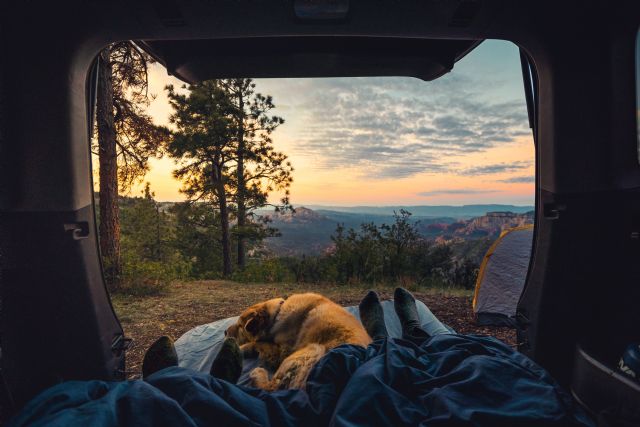 8 consejos para un viaje perfecto en autocaravana con tu perro - 3, Foto 3