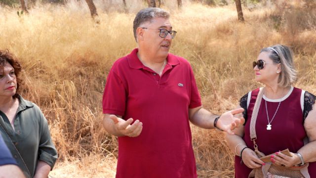 El PSOE advierte sobre el grave riesgo de incendio por el abandono de solares municipales en plena temporada de verano - 2, Foto 2
