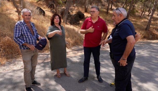 El PSOE advierte sobre el grave riesgo de incendio por el abandono de solares municipales en plena temporada de verano - 3, Foto 3