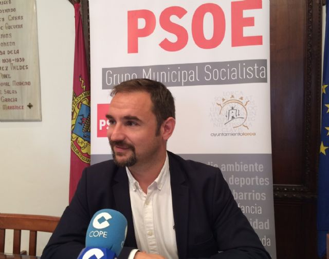 El PSOE reclama soluciones urgentes para evitar los peligrosos desprendimientos de la ladera del Castillo que siguen produciéndose - 1, Foto 1