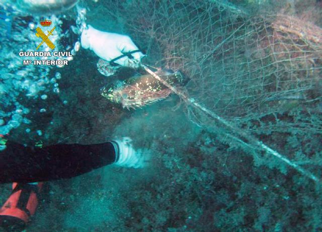 La Guardia Civil retira una red del fondo marino por riesgo para la práctica de actividades náuticas - 5, Foto 5