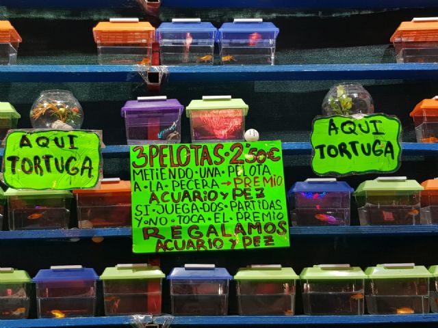 Cambiemos Murcia denuncia el uso de animales como premio en la Feria - 1, Foto 1